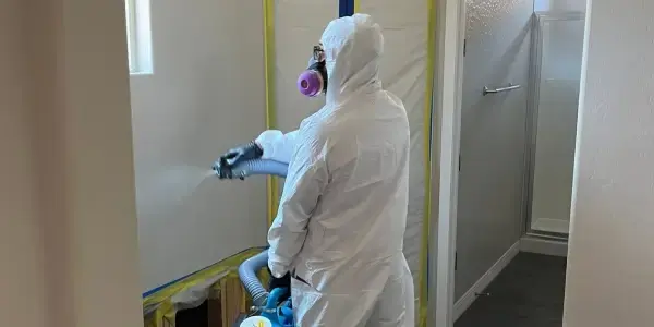 Technician treating mold in a contained basement-level room