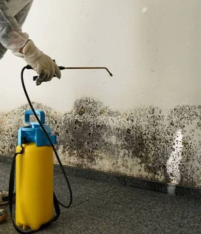 Treatment equipment beside widespread dark mold on an interior wall