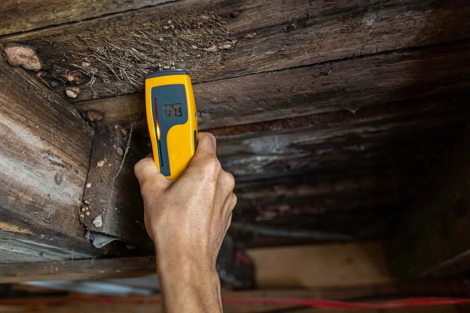 Moisture meter checking darkened wood joists in a crawl space